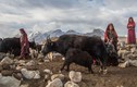 Chùm ảnh: Bộ tộc Wakhi ở Afghanistan sống tách biệt thế giới